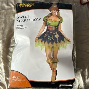 Scarecrow costume
